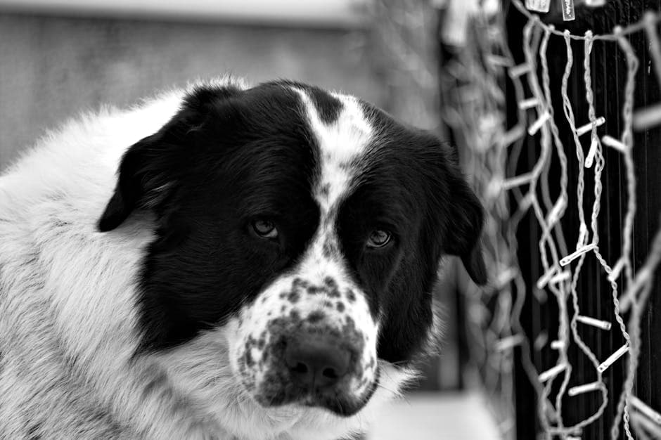 athens city apartment